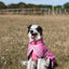Luxe Waterproof Dog Coat 250g - Baby Pink