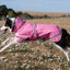 Luxe Waterproof Dog Coat 250g - Baby Pink