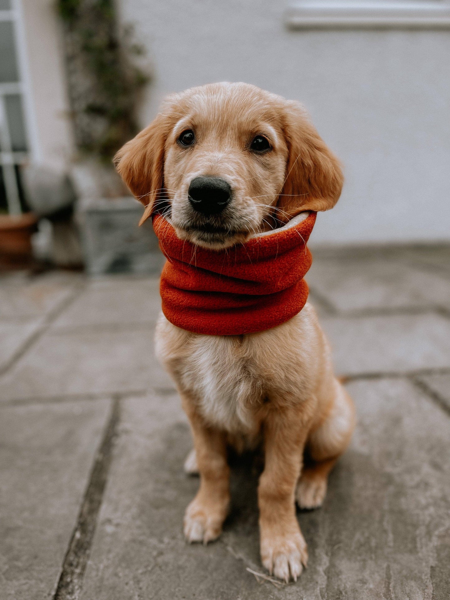 Bodhi & The Birchtree - Bodhi & The Birchtree Burnt Orange Fleece Snood