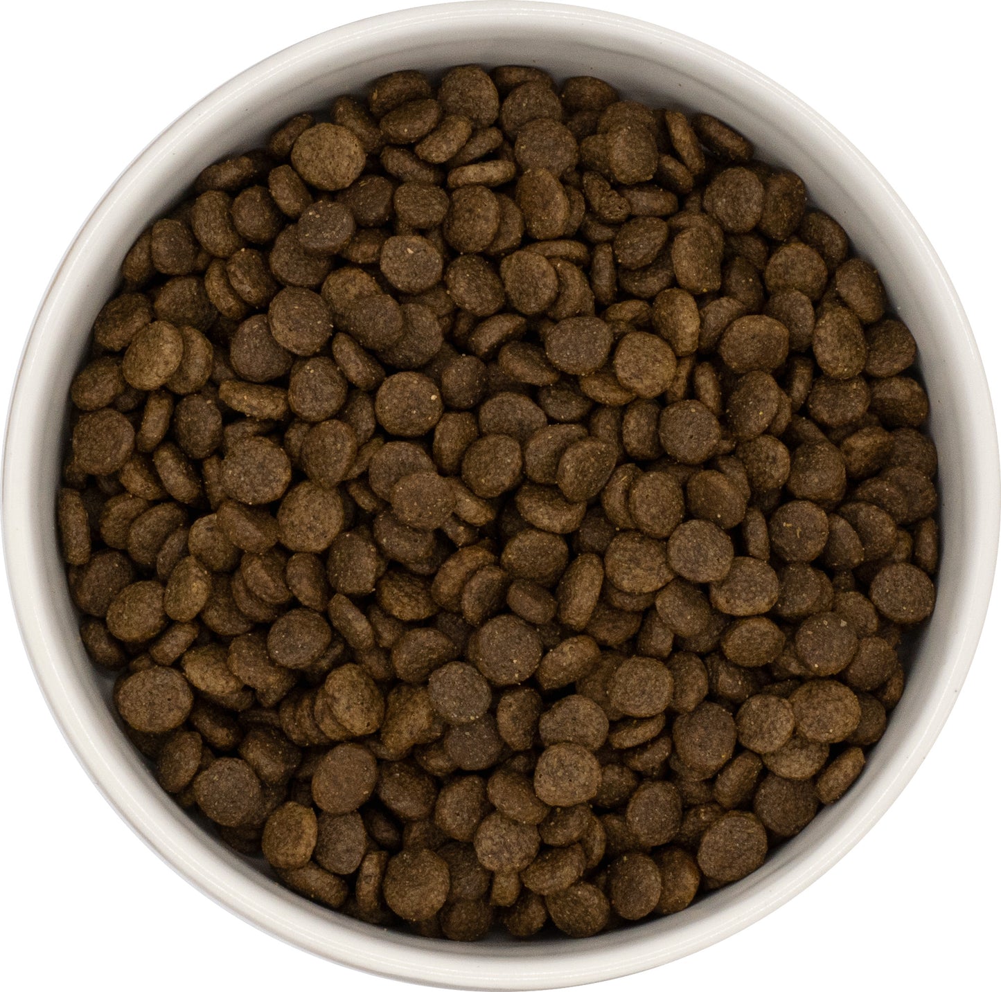 Everest & Co Small Breed Adult Salmon & Potato