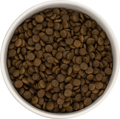 Everest & Co Small Breed Adult Salmon & Potato