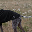 Fleece Dog Jumper - Black