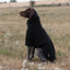 Fleece Dog Jumper - Black