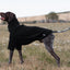 Fleece Dog Jumper - Black