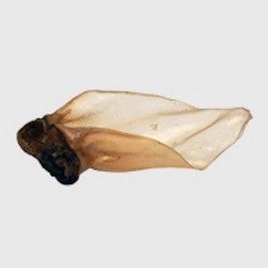 Anco Buffalo Ear