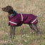 Luxe Waterproof Dog Coat 250g - Burgundy