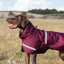 Luxe Waterproof Dog Coat 0g - Burgundy