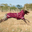 Luxe Waterproof Dog Coat 0g - Burgundy