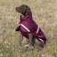 Luxe Waterproof Dog Coat 250g - Burgundy