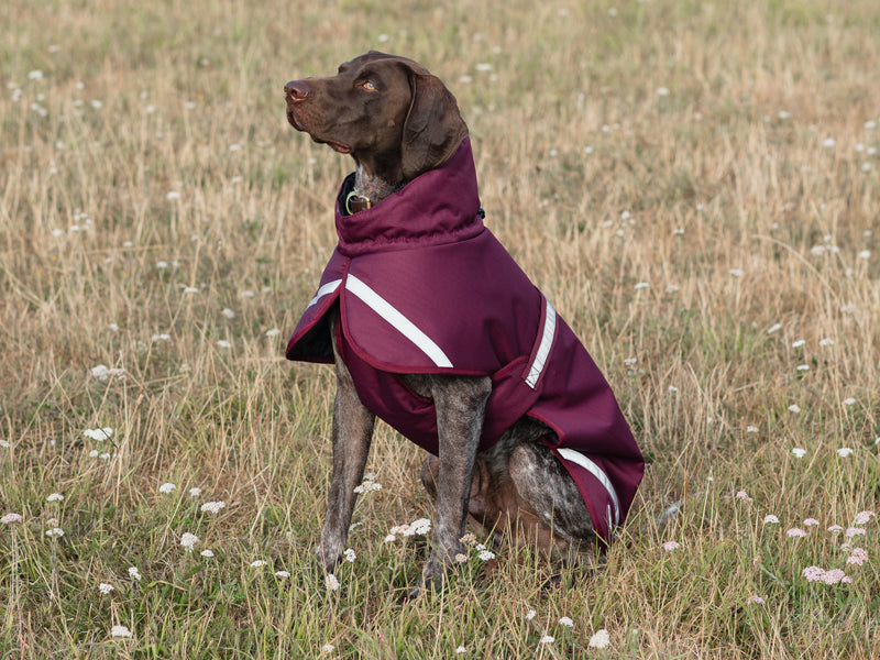 Luxe Waterproof Dog Coat 0g - Burgundy