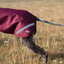 Luxe Waterproof Dog Coat 250g - Burgundy