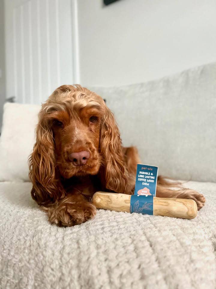 Pet Wiz - Coffee Wood Chew