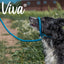 Ancol Viva Rope Slip Lead 120cm x 1cm