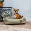 Sleepy Paws Classic Square Pet Bed Green