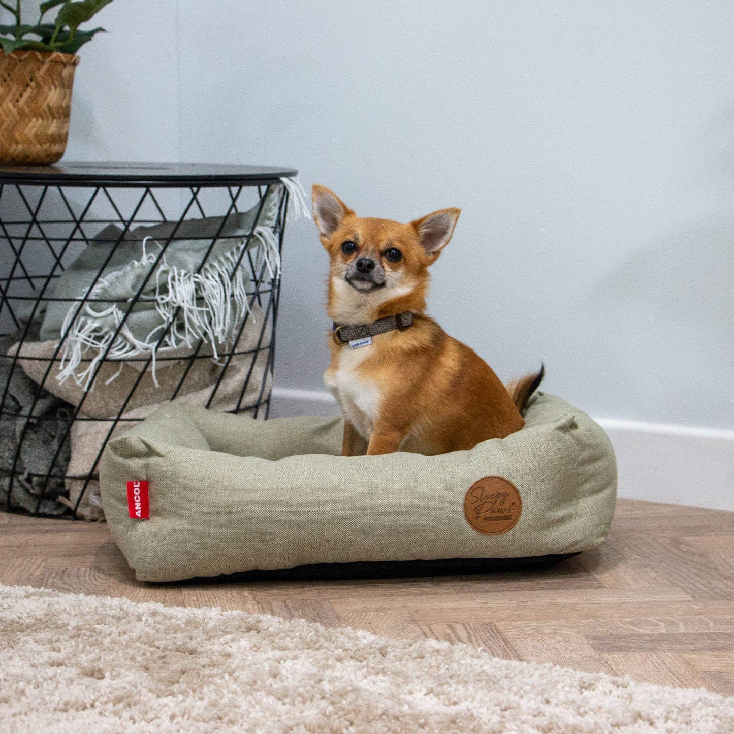 Sleepy Paws Classic Square Pet Bed Green