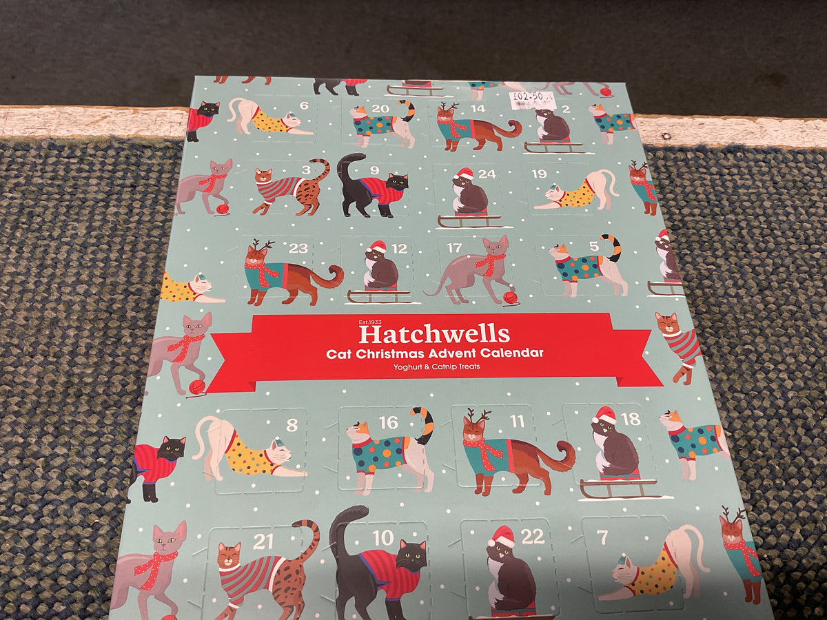 Hatchwells advent calendar for cats