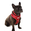 Adjustable Airmesh Dog Harness