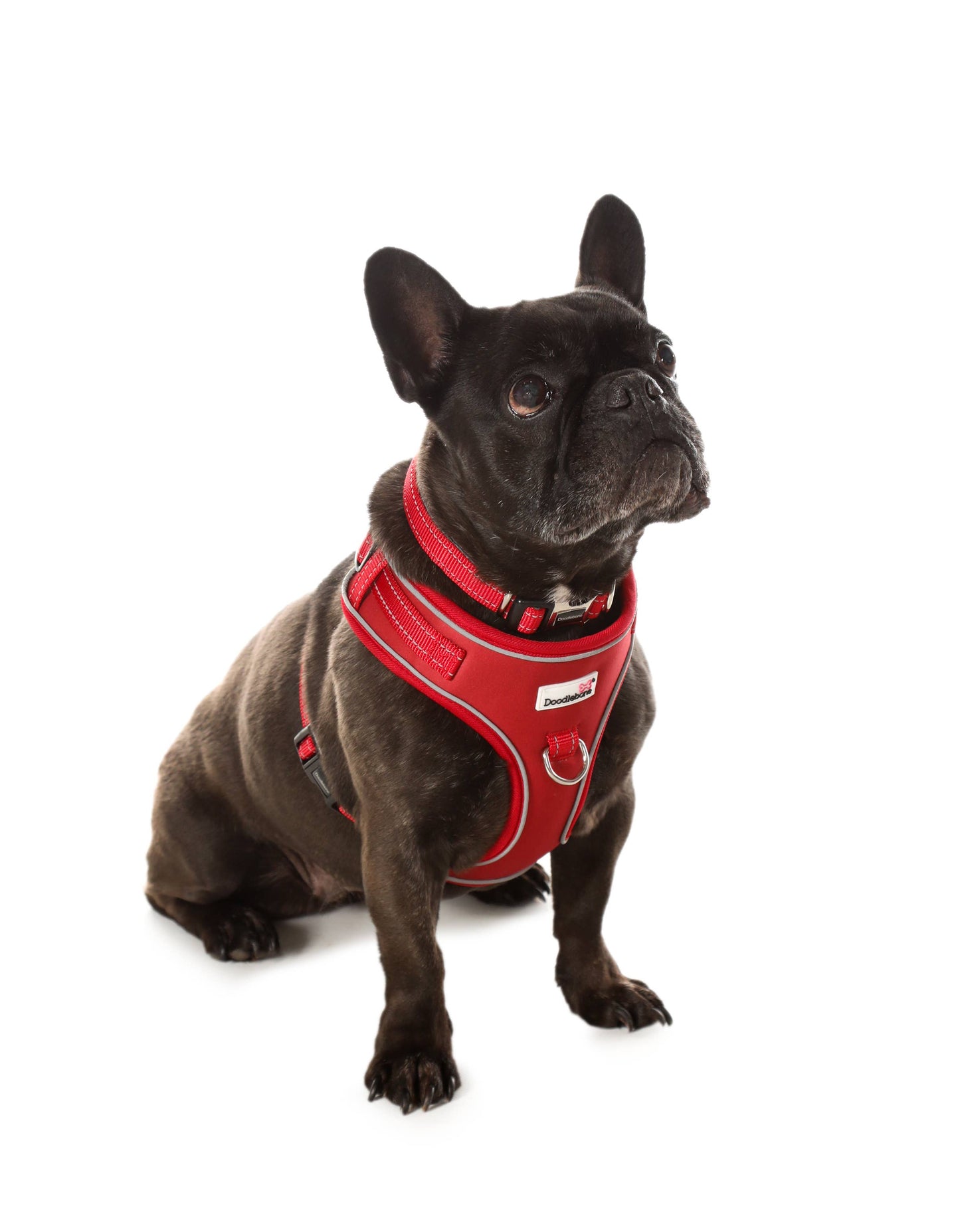 Adjustable Airmesh Dog Harness