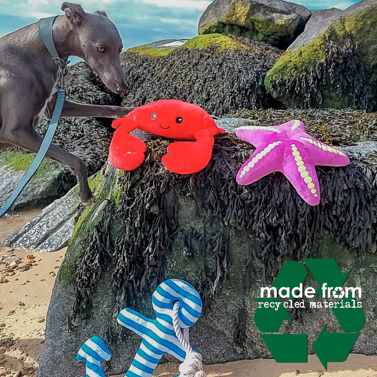 Made From Starfish Crab And Anchor