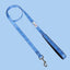 Doodlebone Padded Dog lead