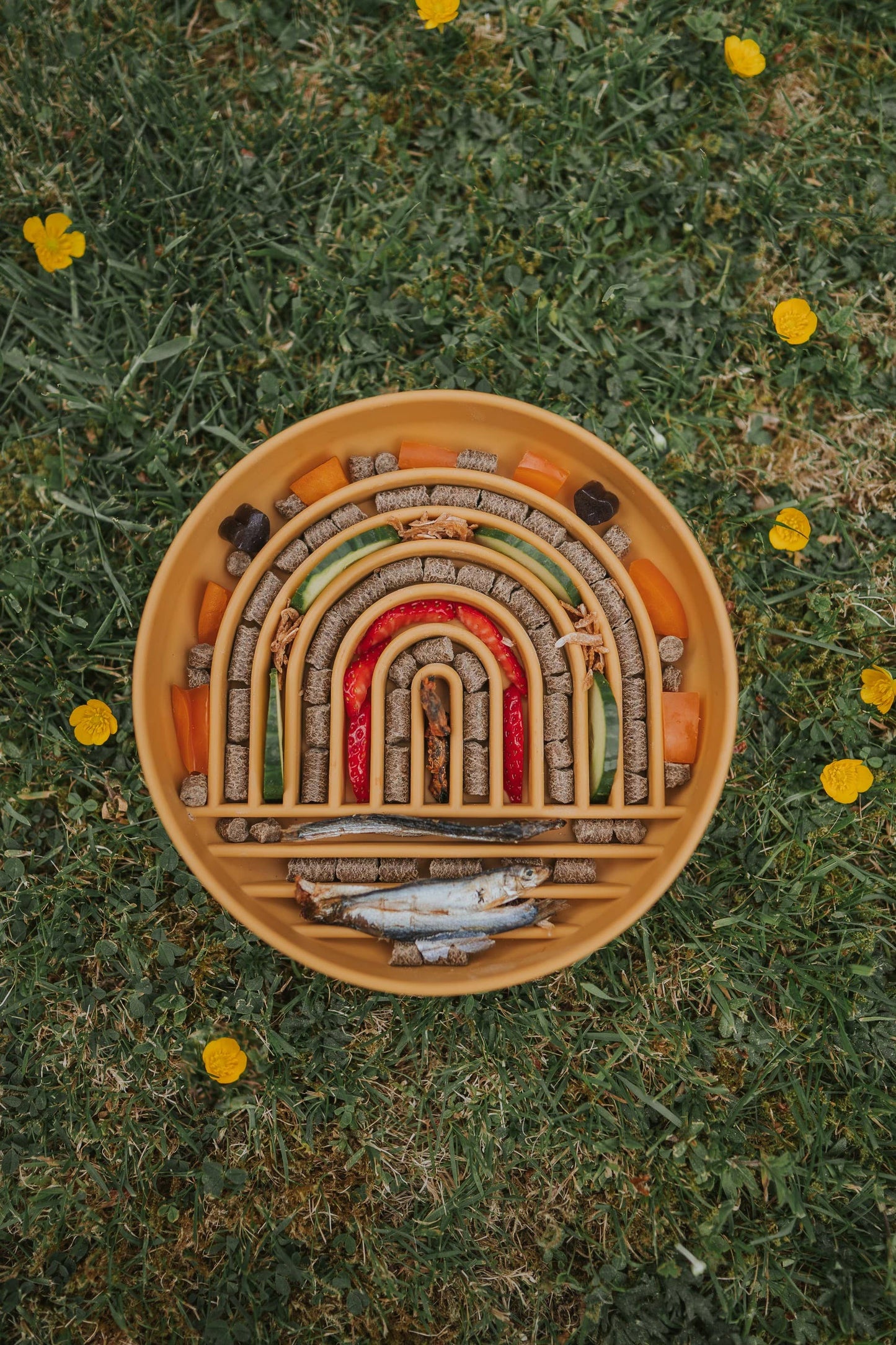 Bodhi & The Birchtree - Rainbow Enrichment Bowl Honey