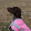 Classic Waterproof Dog Coat 150g - Baby Pink