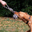 Ancol Pet Products Ltd - Play Time For Dogs Tricoloured Jumbo Rope Ball Tug