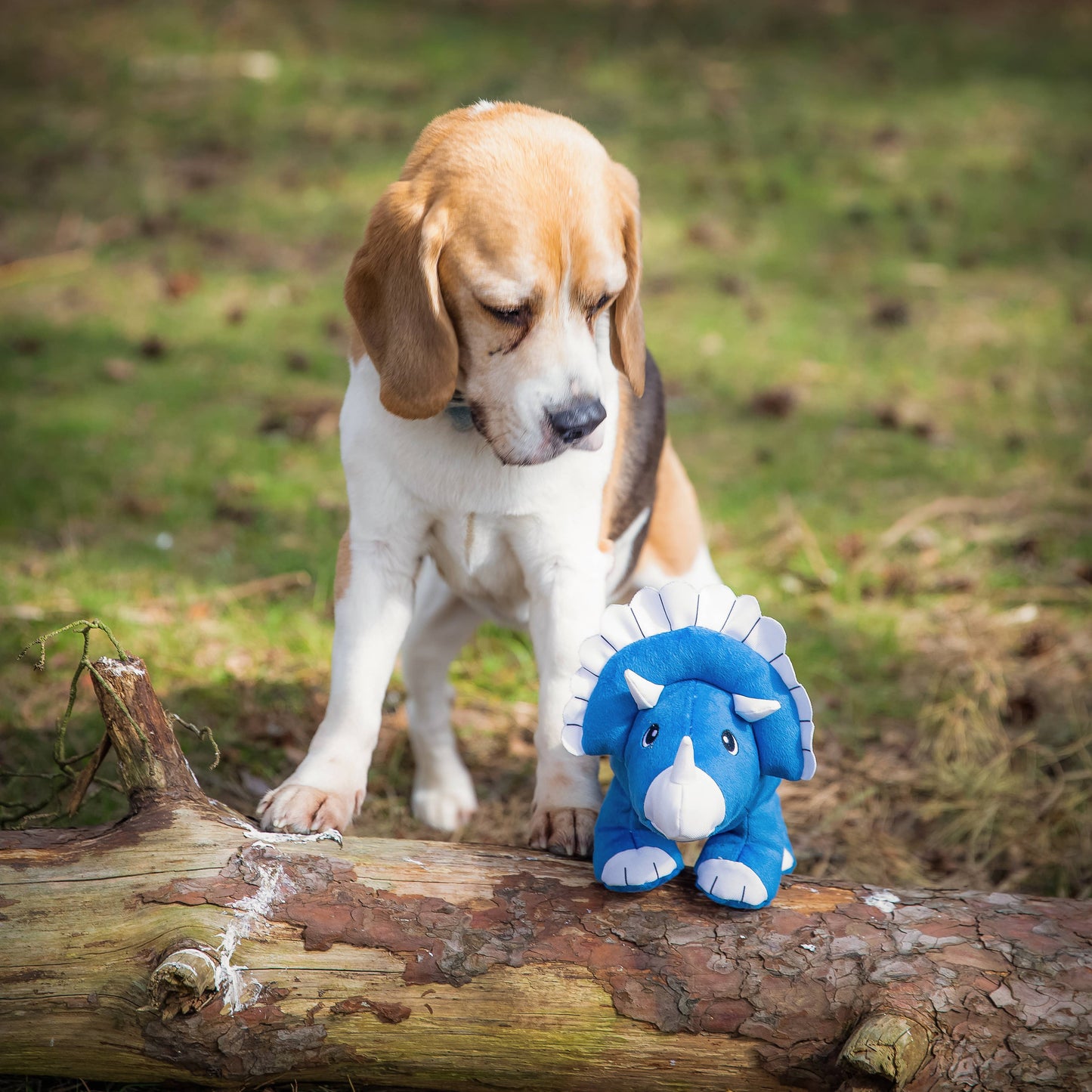 Dinosaur Double Layered Recycled Plastic Eco Plush Dog Toy
