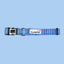 Doodlebone Padded Dog Collar