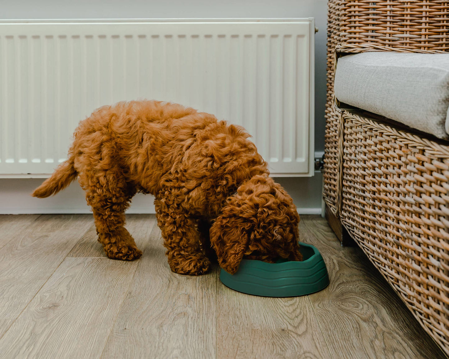 Recycled Ocean Plastic Dog Bowl: Coral Pink