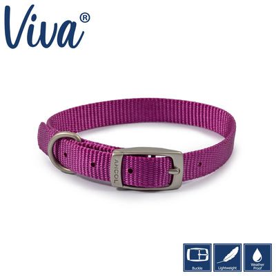 Ancol Viva Buckle Collar Purple