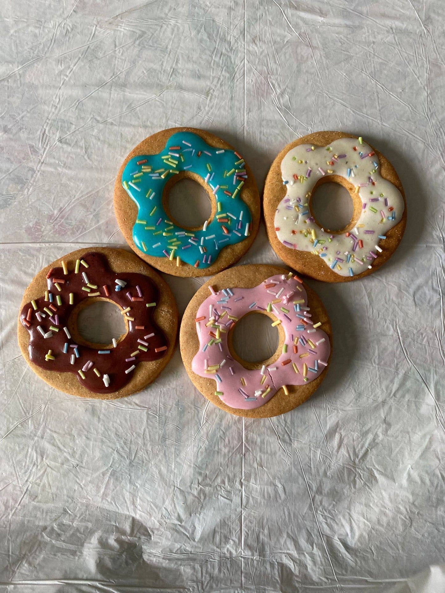 Doggy Doughnuts