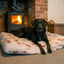 Ancol Pet Products Ltd - Limited Edition Highland Cow Mattress 100 x 70 cm