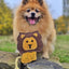 Aurora Paws - Howard the Lion shaped Tough Eco Dog Toy