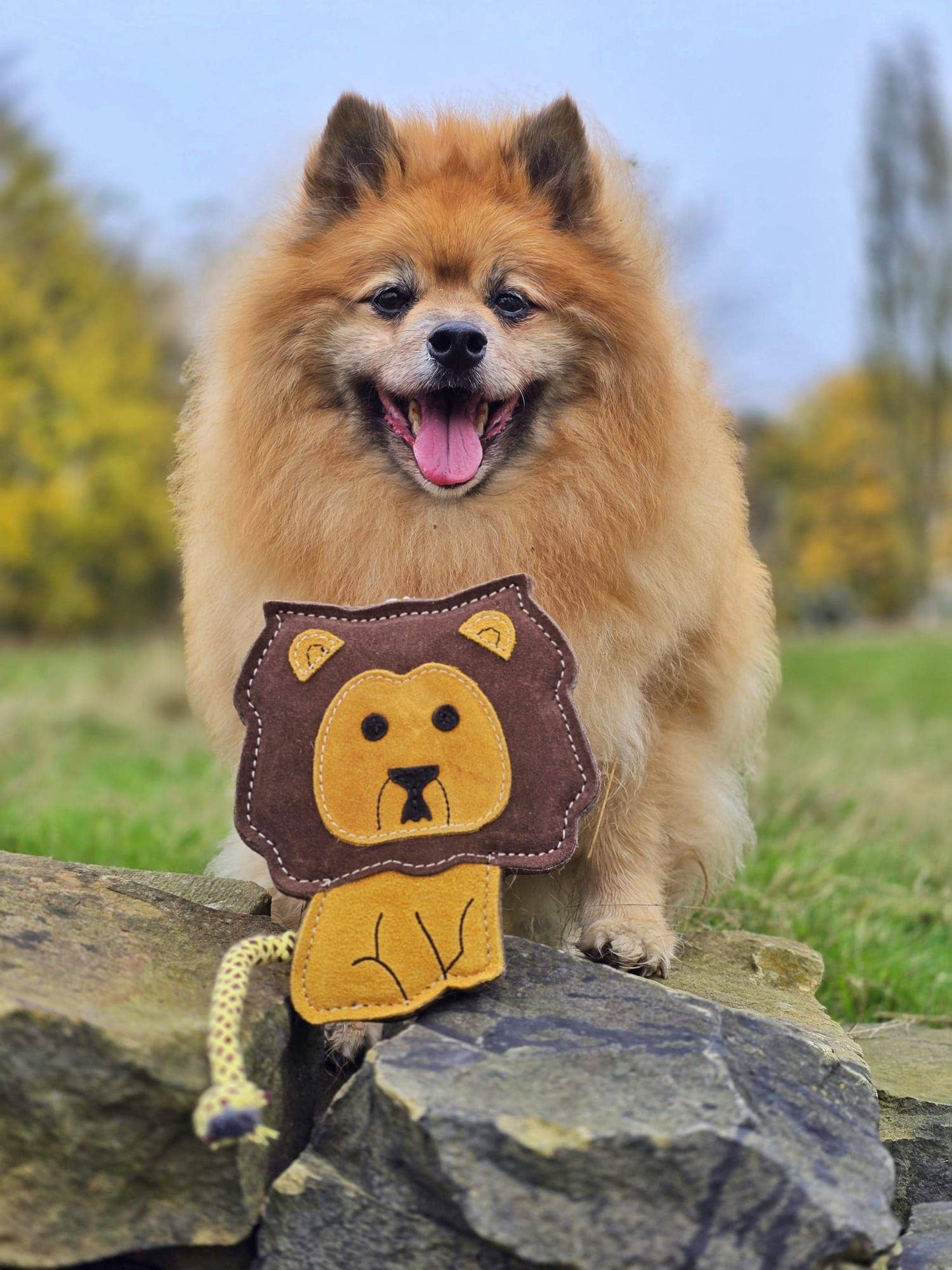 Aurora Paws - Howard the Lion shaped Tough Eco Dog Toy