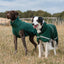 Luxe Waterproof Dog Coat 250g - Hunter Green