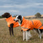Luxe Waterproof Dog Coat 0g - Orange High Viz