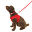 Doodlebone Padded Dog lead