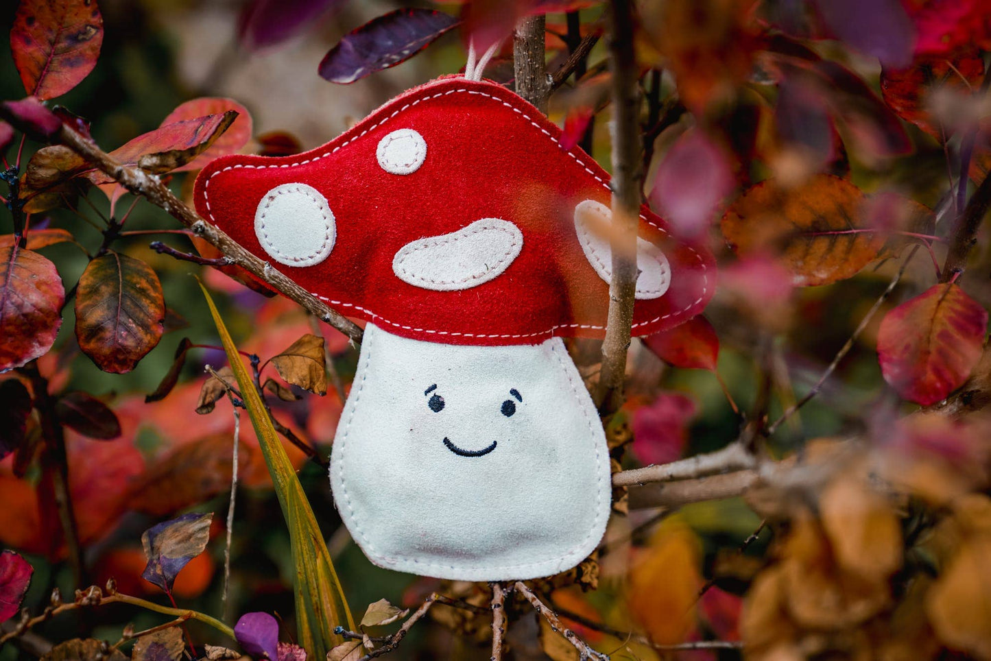 Aurora Paws - Marie the Mushroom shaped Eco Dog Toy