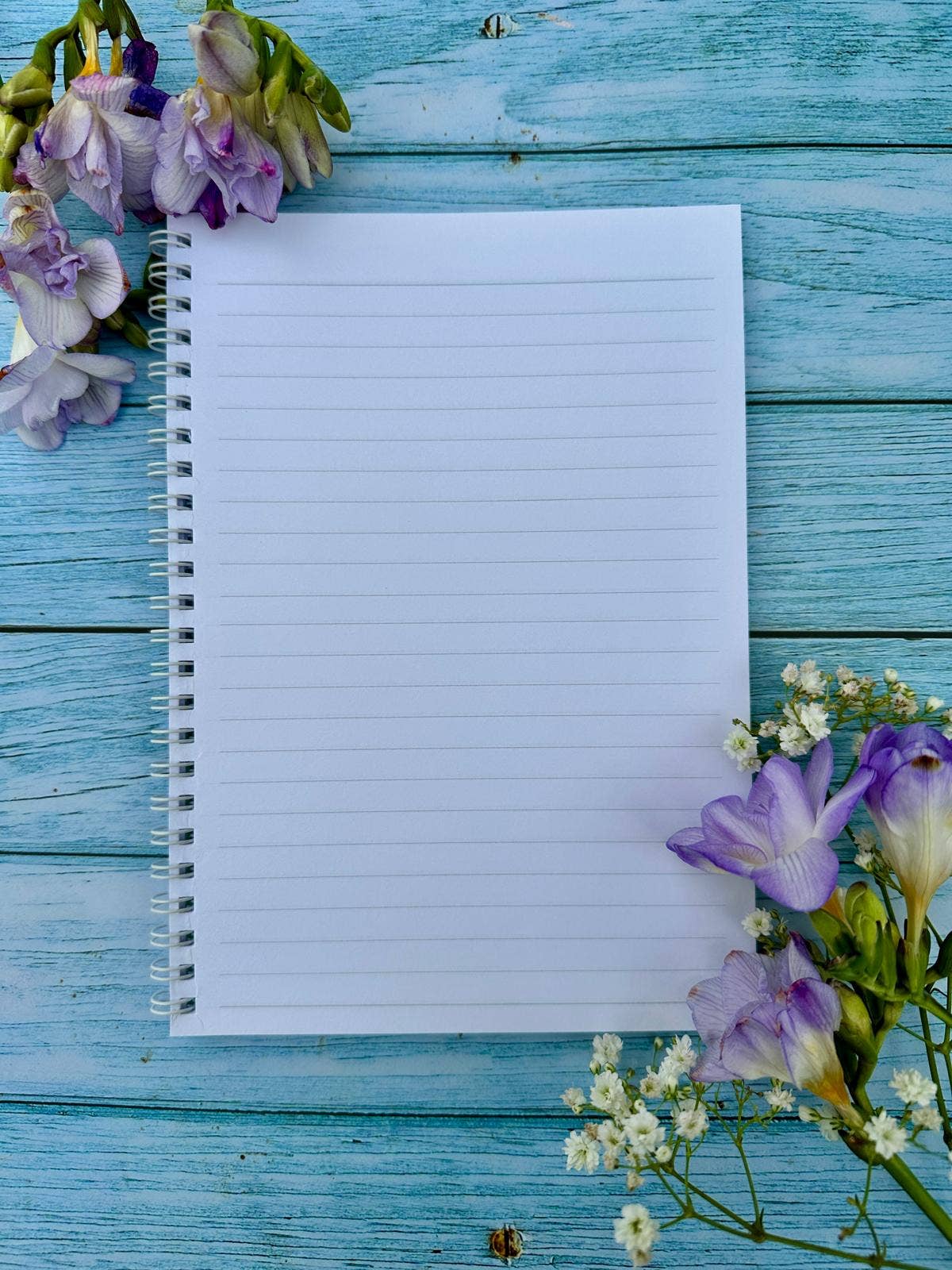 Llama Lined Eco Friendly A5 Notebook UK Made Cute Notepad