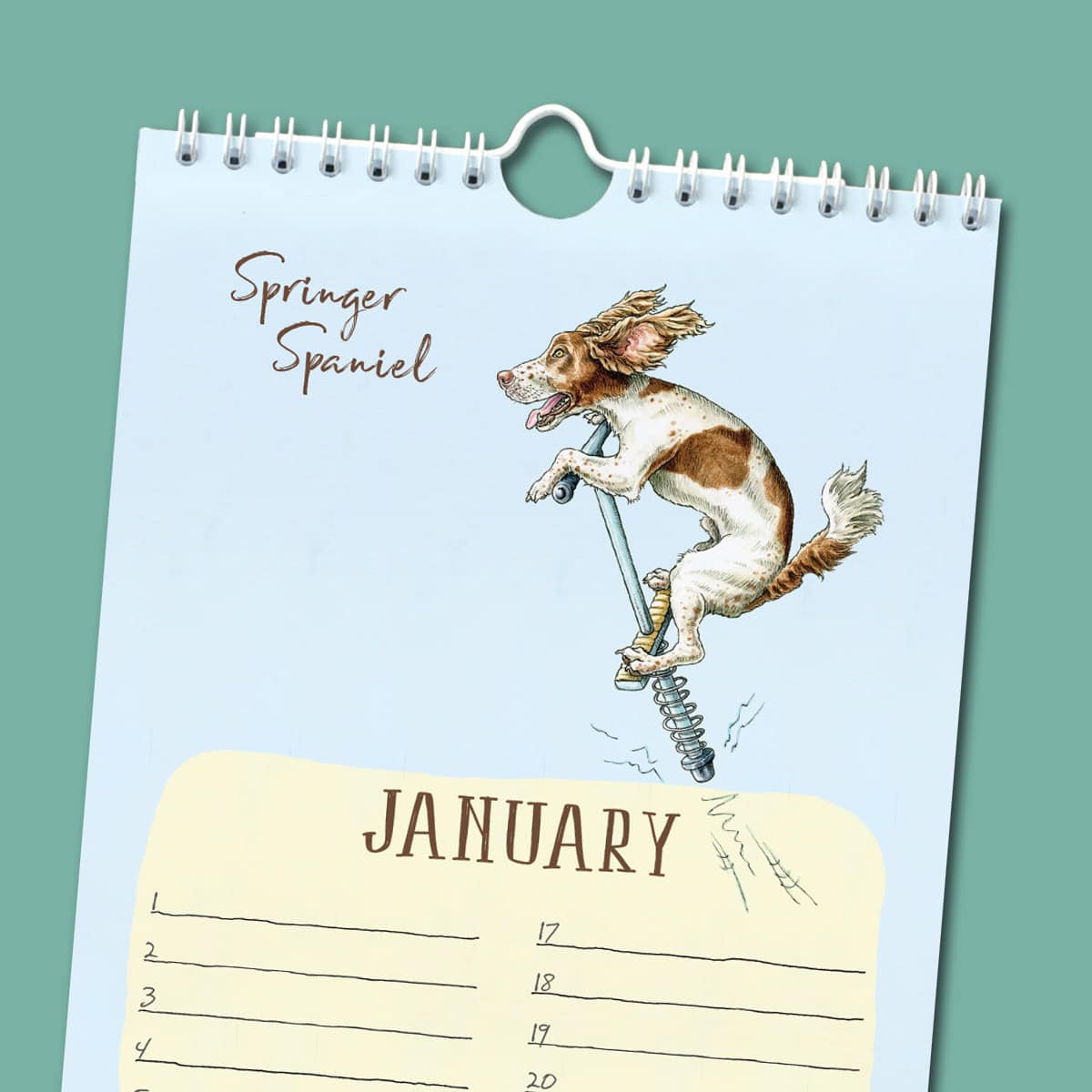 Perpetual Mutt's Nuts Calendar - Dog Calendar