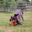 Heritage Phoebe Pheasant Dog Toy with squeak and crinkle