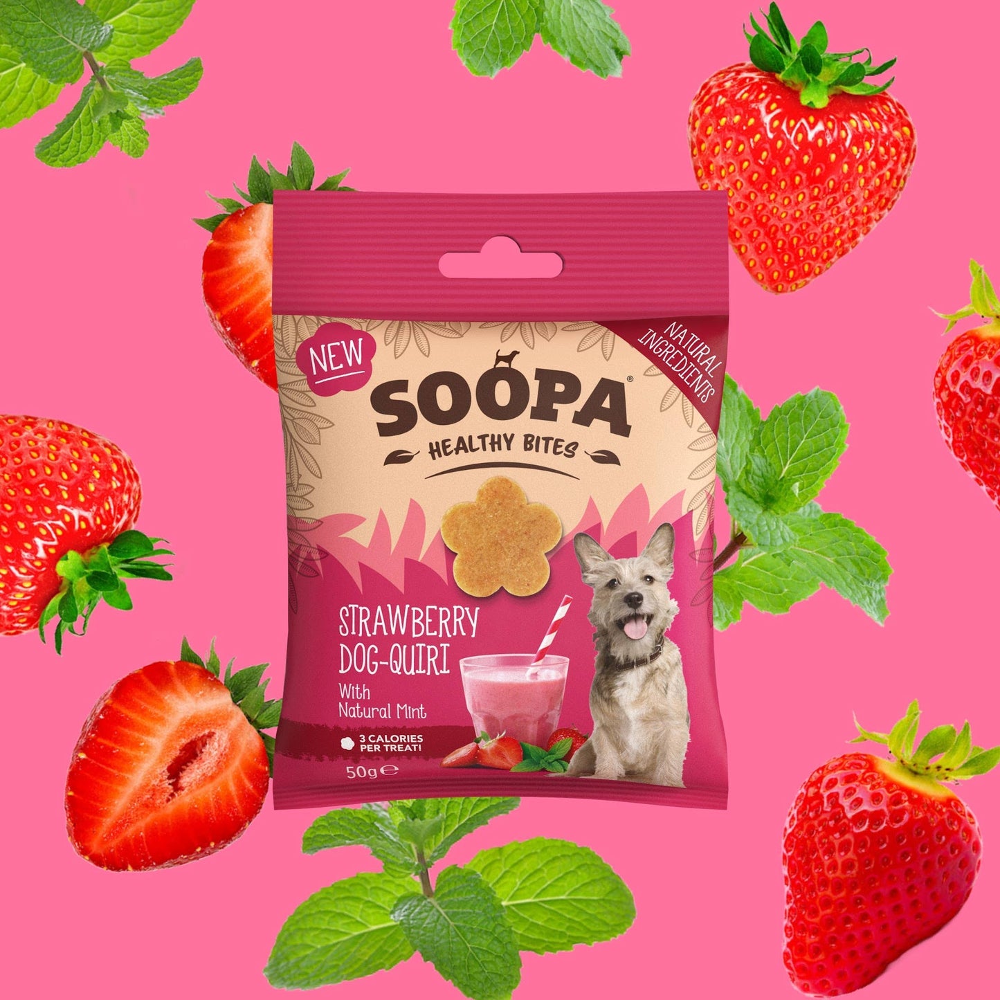 Soopa Strawberry Dog-Quiri Dog Treats