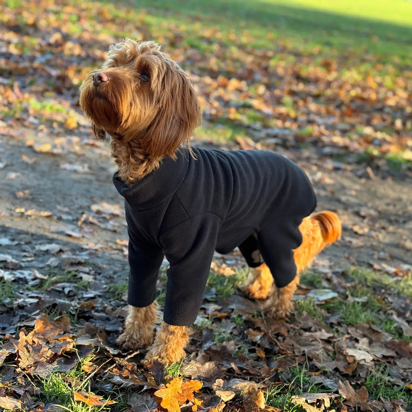 Four Legged Dog Fleeces
