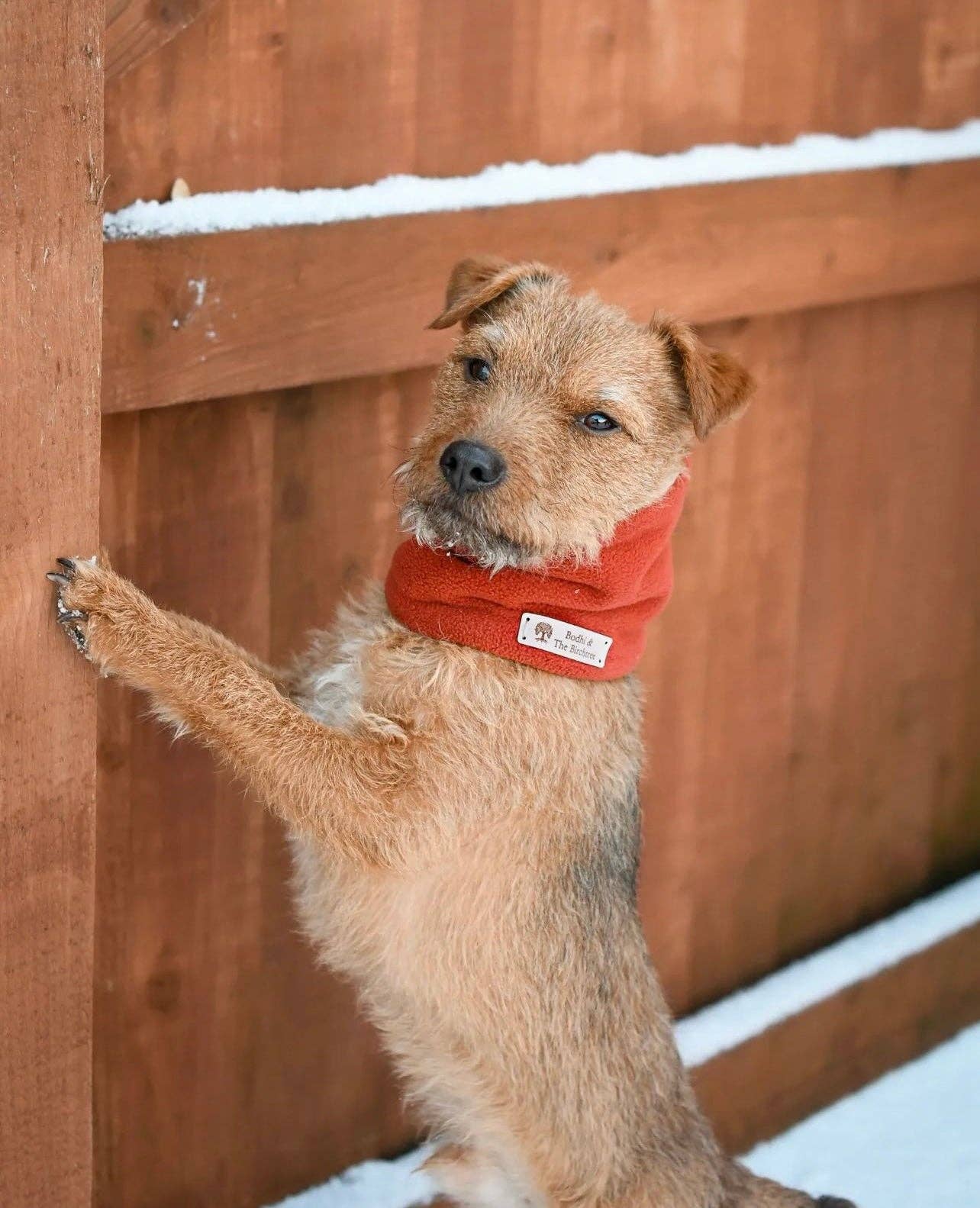 Bodhi & The Birchtree - Bodhi & The Birchtree Burnt Orange Fleece Snood