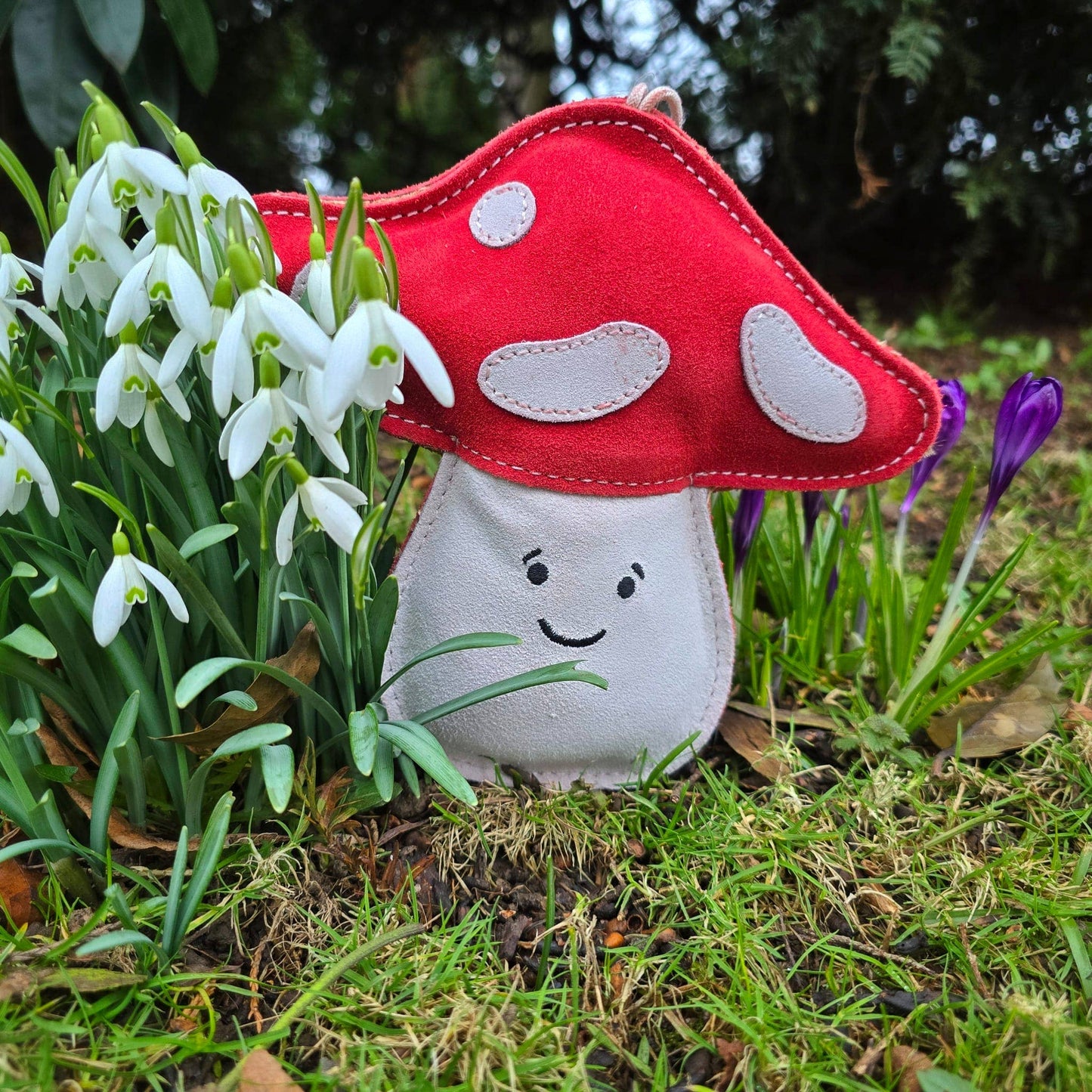 Aurora Paws - Marie the Mushroom shaped Eco Dog Toy