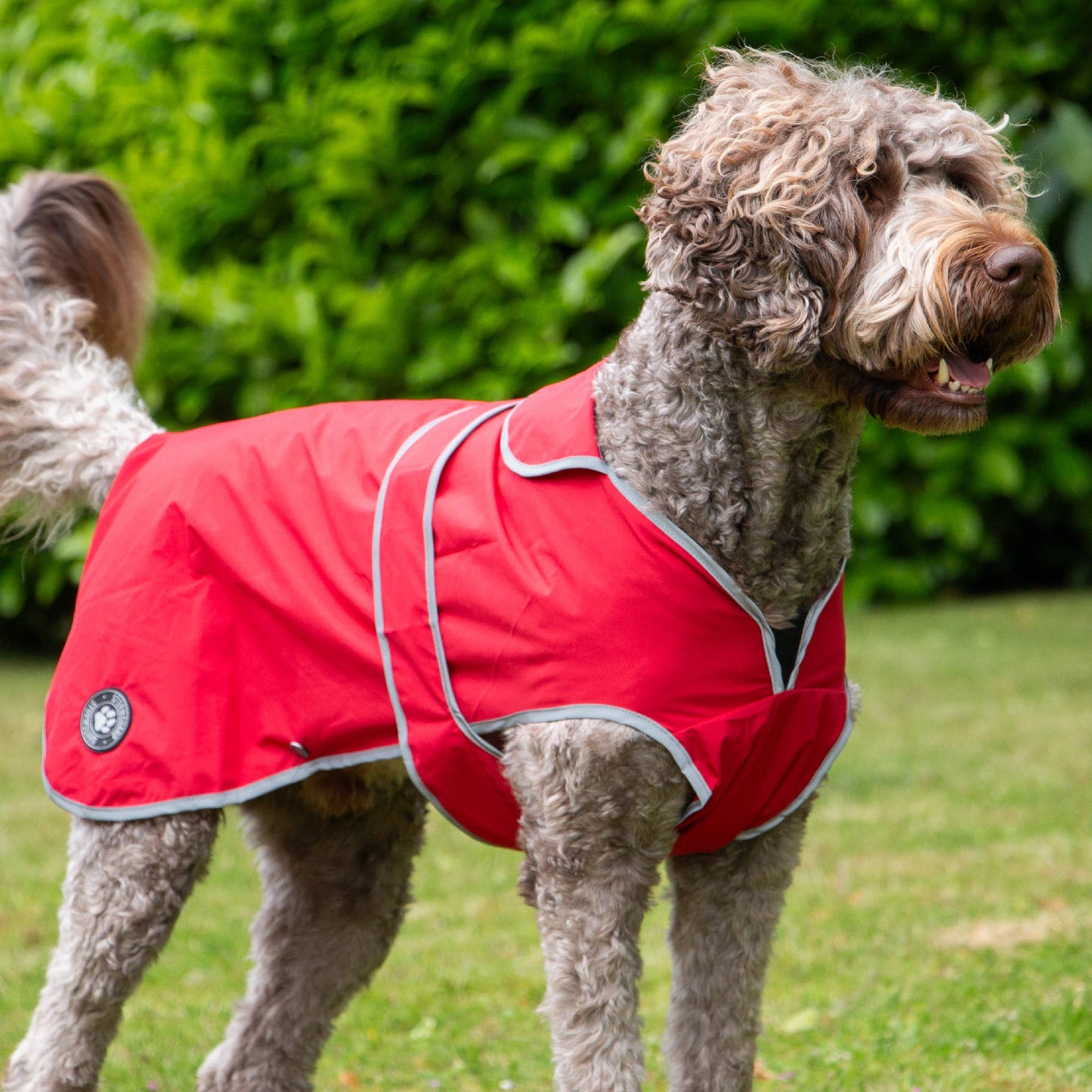 Ancol Stormguard Soft Shell  Dog Coat Bordeaux