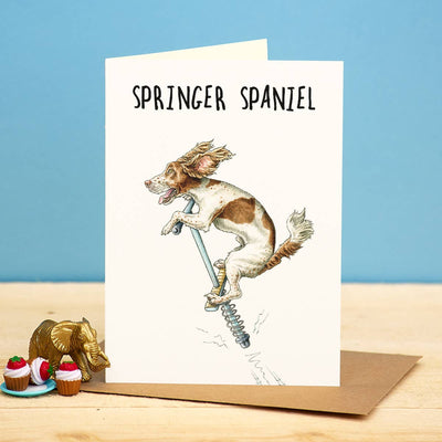 Bewilderbeest - Springer Spaniel Card - Everyday Card - Funny
