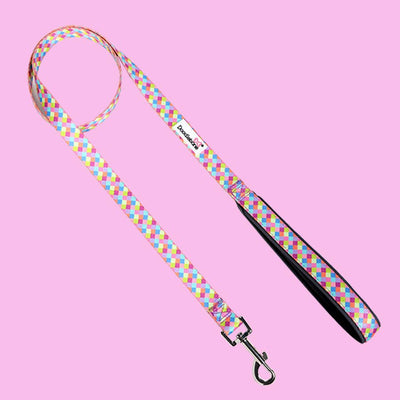 Doodlebone Padded Dog lead