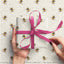 Gift wrapped in paper with bee pattern and pink ribbon, held by hands against matching background.